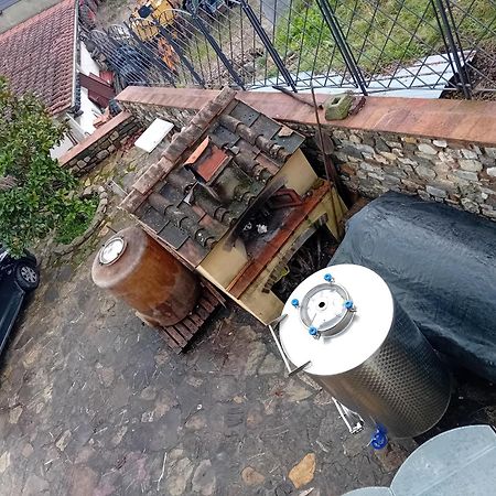 Agriturismo Circugnano Grassina エクステリア 写真
