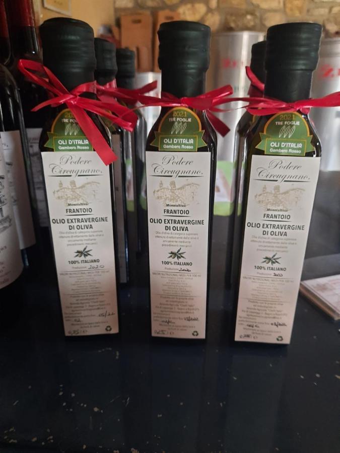 Agriturismo Circugnano Grassina エクステリア 写真