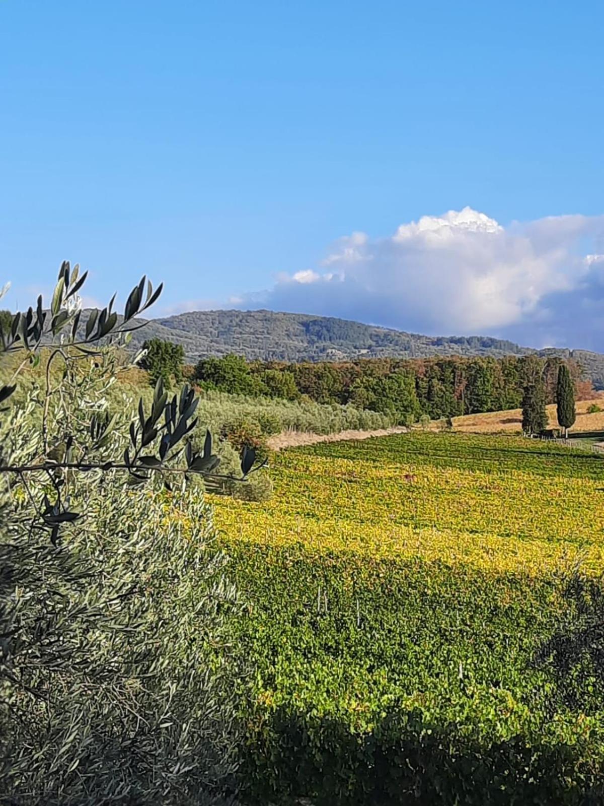 Agriturismo Circugnano Grassina エクステリア 写真