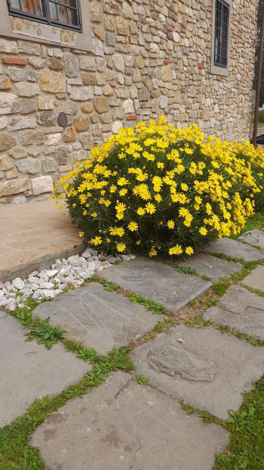 Agriturismo Circugnano Grassina エクステリア 写真