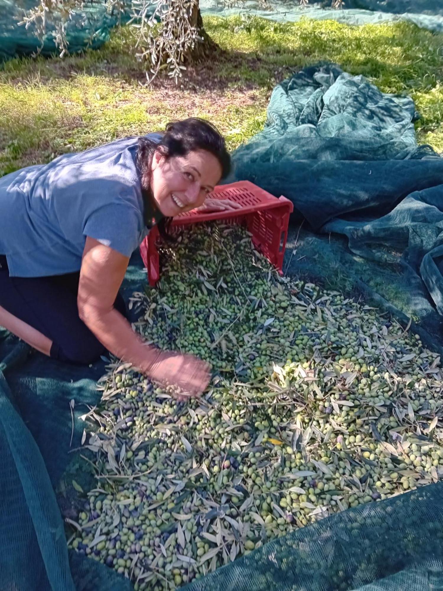 Agriturismo Circugnano Grassina エクステリア 写真