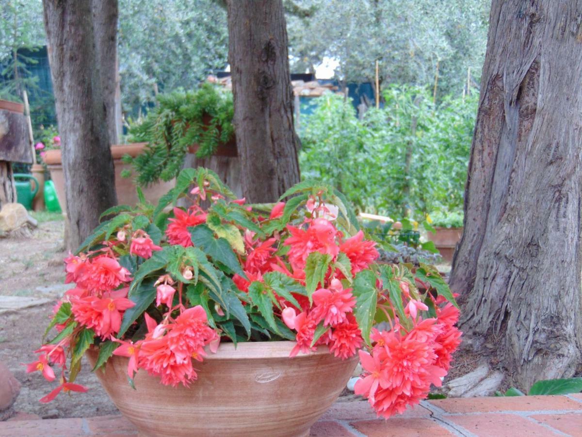 Agriturismo Circugnano Grassina エクステリア 写真