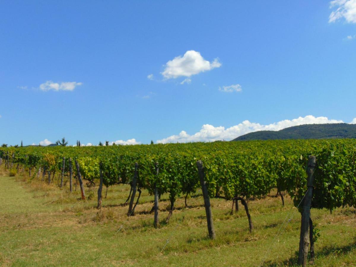 Agriturismo Circugnano Grassina エクステリア 写真